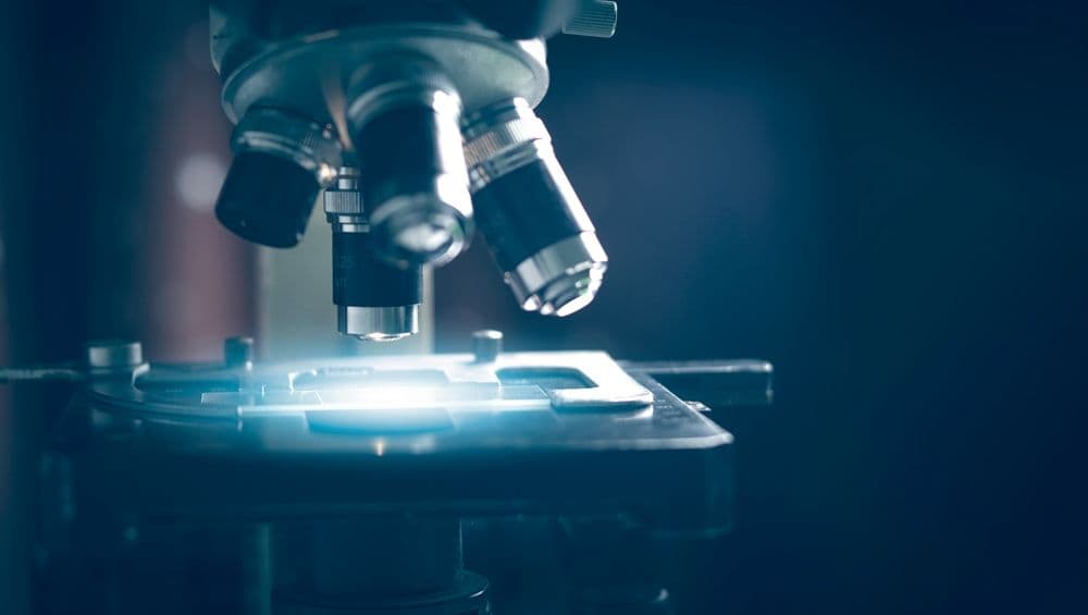 Tokenomics Under the Microscope – Why Many Projects Fail Before Year 3